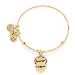 Alex And Ani Calavera Charm Bangle, Rose Gold