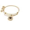 Alex And Ani Class Of 2020 Bangle Bracelet Gold One Size