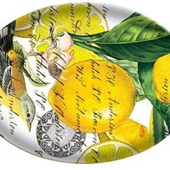 Michel Design Works Rectangular Glass Soap Dish, Lavender