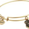 Alex And Ani Law Enforcement Bangle