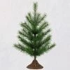 Hallmark Keepsake 2019 Miniature Ornament Christmas Tree, 18"