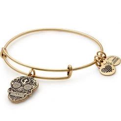 Alex And Ani Calavera Charm Bangle, Rose Gold