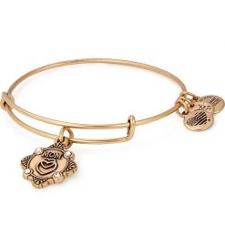 Alex And Ani Mom Because I Love You Charm Bangle RAFAELIAN GOLD