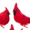 Kurt Adler Velvet Cardinal ON Clip - 2 Assorted