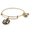 Alex And Ani Womens Medical Professional Bangle