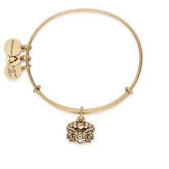 Alex And Ani Crab Charm Bangle, Gold