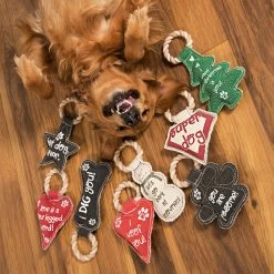 Pavilion Gift Company Pavilion's Pets-Gray Bone Canvas And Rope Dog Squeaky Toy-I Dig You Pavilion Gift Co.