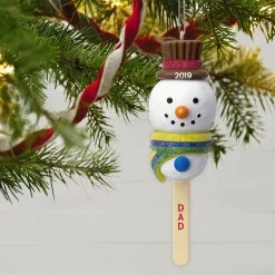 Hallmark Keepsake 2019 Dad Cake Pop Snowman Dated Ornament